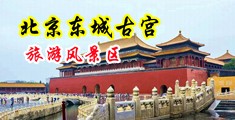 浪骚屄乱伦视频中国北京-东城古宫旅游风景区